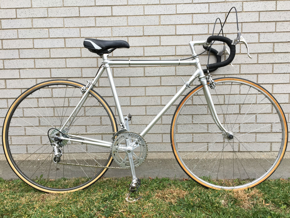 Alan 53 cm