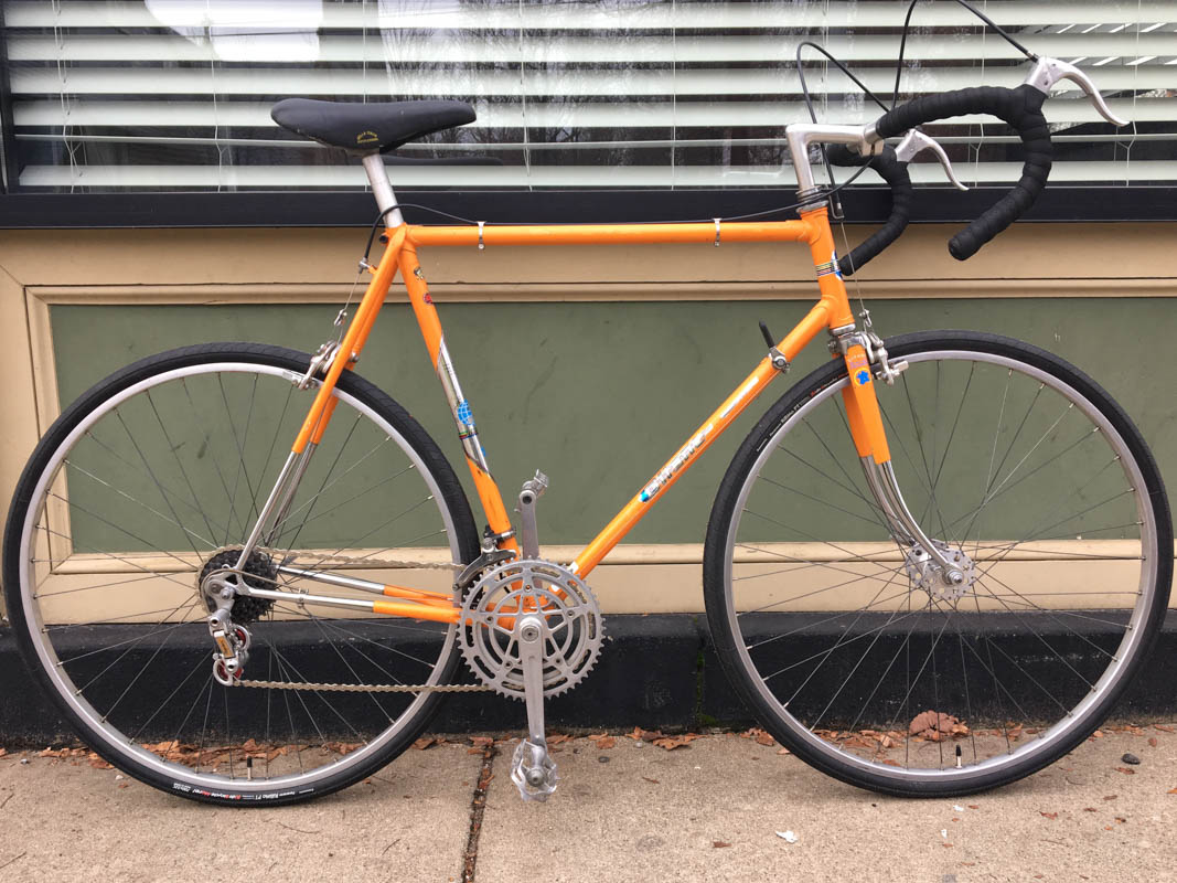 Gitane Professional