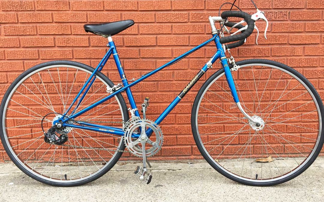 Raleigh Mixtie