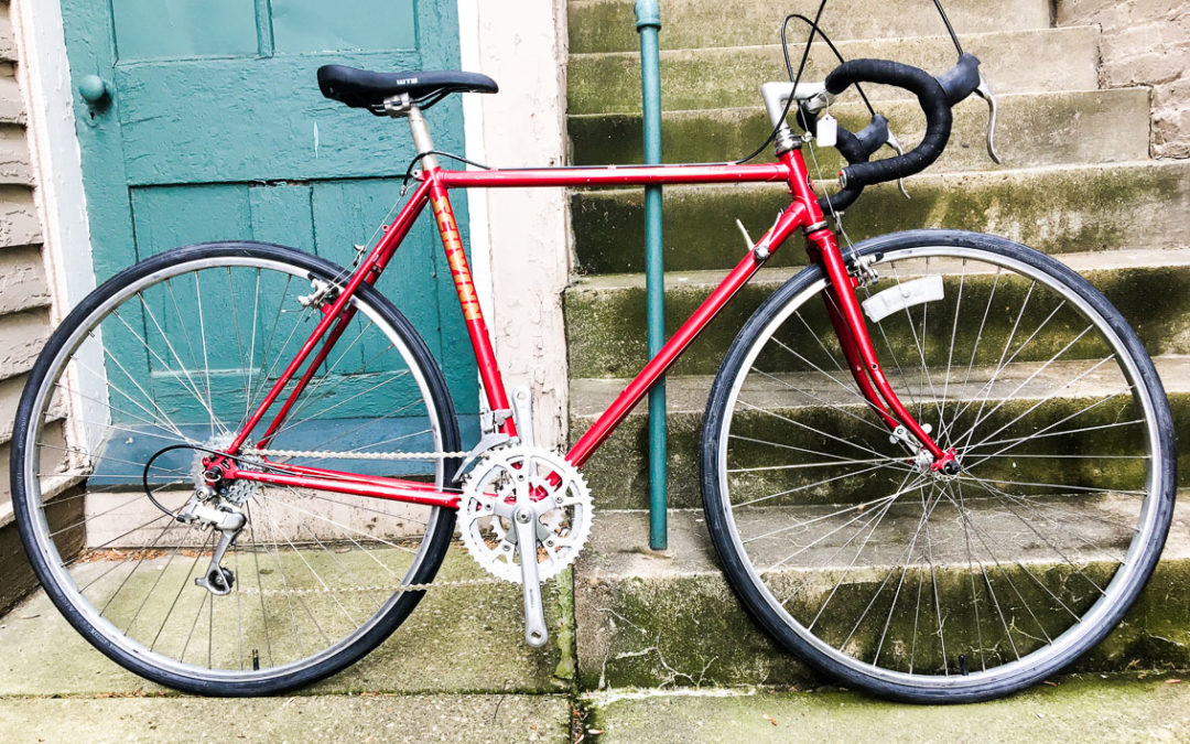 Schwinn Voyageur