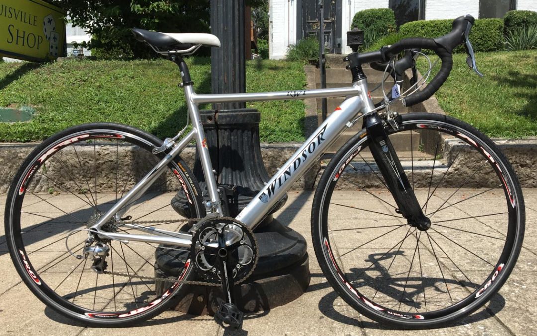 Royal Windsor Triathlon, 54cm, silver