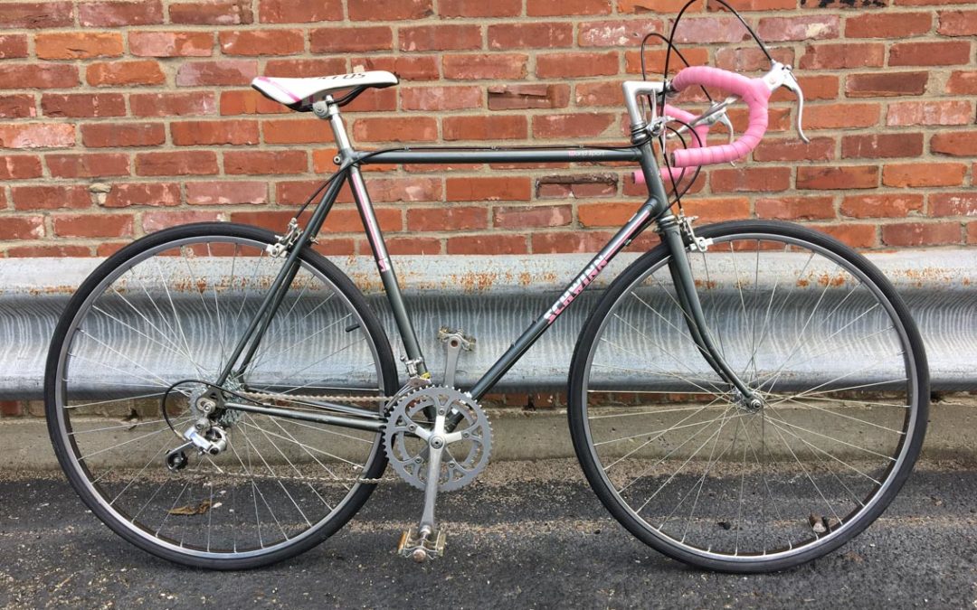 Schwinn Worldsport, 58cm