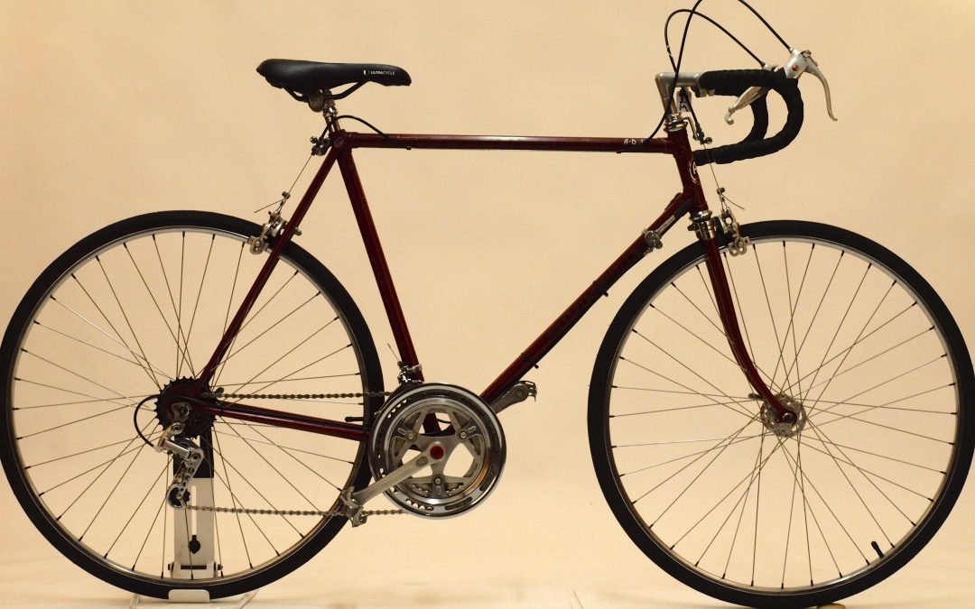 Astro Diamler Sport 58cm