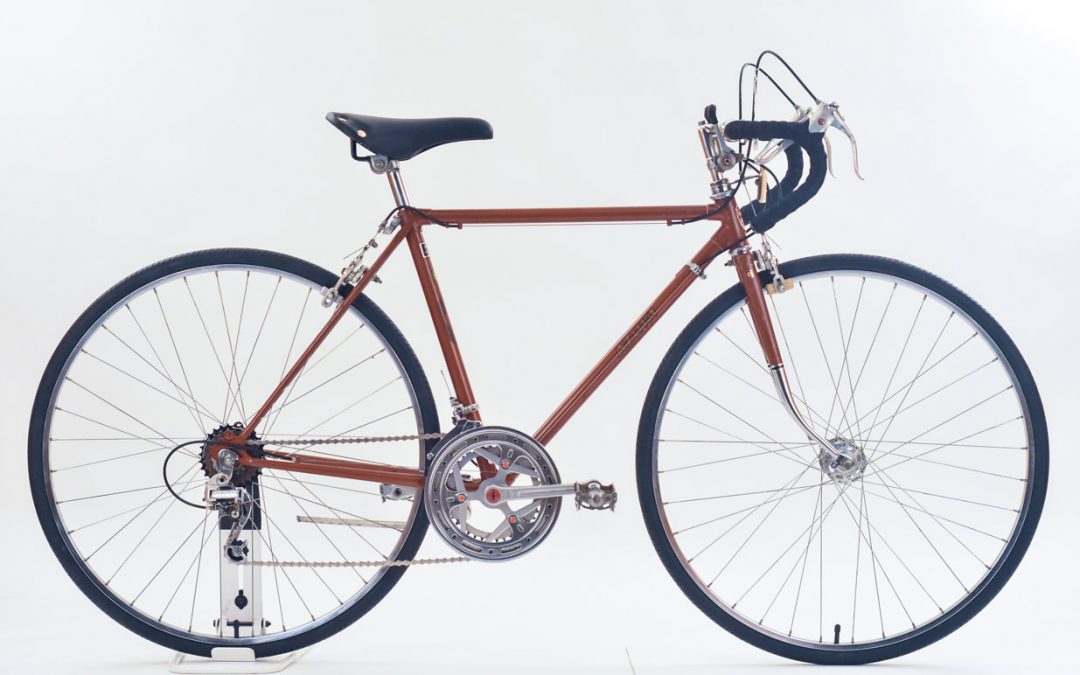 47 cm Azuki